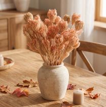Prodotto Decorazione fiori secchi finocchio salmone L50cm Ø4-5cm 100g