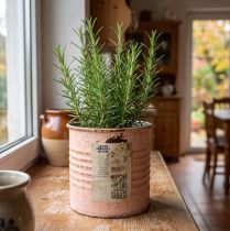 Prodotto Vaso decorativo per fiori, barattolo in metallo color salmone, porta erbe aromatiche Ø8cm H7.5cm