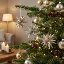 Prodotto Stelle con mica champagne 11,5 cm 4 pz