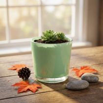 Prodotto Vaso in vetro Ø10cm H8.5cm verde menta