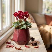 Prodotto Vaso Fioriera Fioriera in Ceramica Rosso Esagonale Ø10cm H9cm