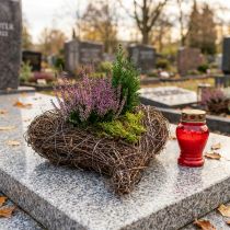 Prodotto Vaso per piante a forma di cuore, cimitero, cuore di vite per piantare 15 cm 2 pezzi