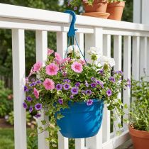 Prodotto Cesto sospeso 25 cm blu