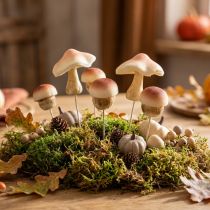 Prodotto Funghi decorativi da attaccare funghi decorativi marroni autunnali 3,5/5,5 cm 16 pezzi