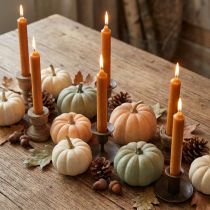 Prodotto Candele stick candela corta in cera color caramello 21x110mm 6 pz
