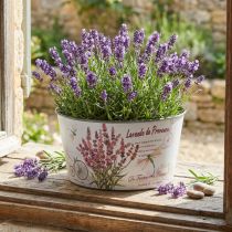 Prodotto Fioriera in plastica color lavanda rotonda Ø21cm H11cm