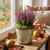 Prodotto Fioriera per l'autunno, secchio in metallo con decorazione a foglia, vaso in metallo dorato Ø14cm H12.5cm