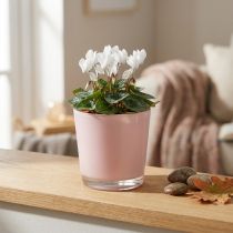 Prodotto Vaso da fiori in vetro rosa, secchio in vetro Ø10cm H8,5cm