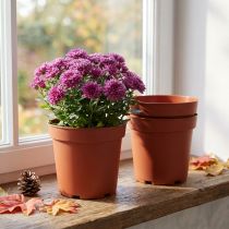 Prodotto Vaso per piante in plastica Ø17 cm 10 pezzi