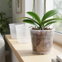 Prodotto Vaso per piante per orchidee Ø12cm trasparente 10pz