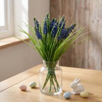 Prodotto Giacinti d'uva 28cm - 30cm Blu 15 pz