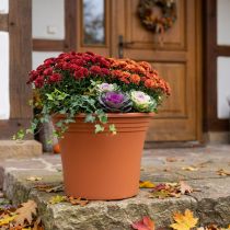 Prodotto Vaso “Irys” plastica terracotta Ø43cm H35cm 1 pz