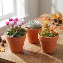 Prodotto Vaso da fiori in terracotta Ø6cm alto 5cm 10pz