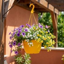 Prodotto Cesto sospeso 25 cm giallo