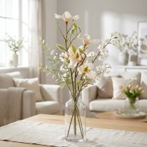 Prodotto Magnolia Pesca 85cm