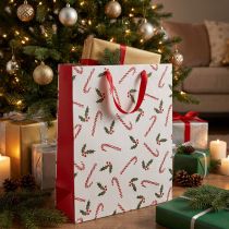 Prodotto Busta di carta busta regalo bastoncini di zucchero 26×10×32cm 2pz