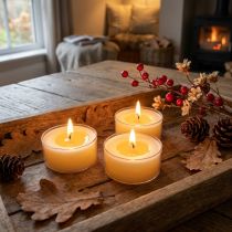 Prodotto Candele tealight Pure Nature Lights, durata di combustione 10 ore, candele in cera di colza, 8 pezzi