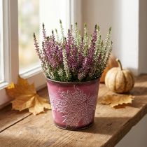 Prodotto Vaso decorativo per piantare, secchio di latta, decorazione in metallo con motivo a foglia rosso vino Ø14cm H12,5cm