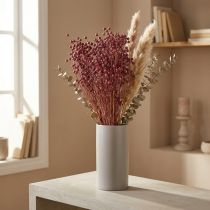 Prodotto Erba secca Lino essiccato Rosa antico H50–55 cm 80 g