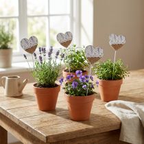 Prodotto Spina fiore cuore lilla stile rustico 7×0,5×7 cm 12pz