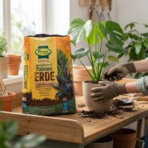 Prodotto Frux Green Terriccio per piante e palme con fertilizzante a lento rilascio 10 l
