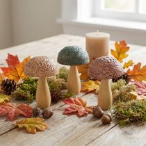 Prodotto Funghi in legno funghi decorativi decorazione autunnale legno assortiti 11×7,5 cm 3 pz