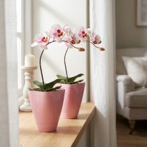 Prodotto Vaso per fiori, vaso di plastica, vaso per orchidee, rosa, alto 16,5 cm, 2 pezzi