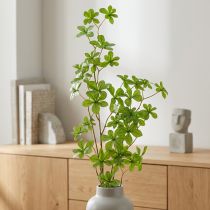 Prodotto Ramo artificiale di Schefflera, elegante decorazione vegetale per spazi abitativi, 95 cm