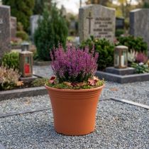 Prodotto Vaso “Irys” plastica terracotta Ø15cm H13cm 1 pz