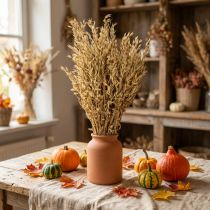 Prodotto Avena secca decorativa mazzo di avena naturale decorazione mazzo 60cm 200g