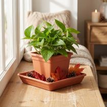 Prodotto Sottobicchiere Lara quadrato 29 cm x 29 cm terracotta 1 pz