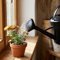 Prodotto Annaffiatoio doccia nero 5l