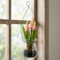 Prodotto Giacinto d'uva artificiale rosa in un bicchiere 16 cm