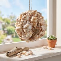 Prodotto Sfera decorativa gusci di lumaca conchiglie decorazione da appendere naturale Ø12cm