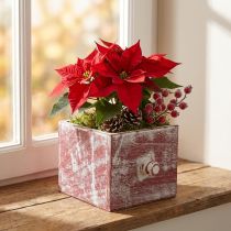 Prodotto Cassetta per piante in legno cassetto decorativo shabby chic rosso bianco 12cm