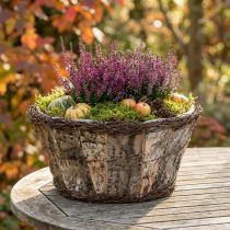 Prodotto Vaso rustico con corteccia di betulla e viticci effetto legno
