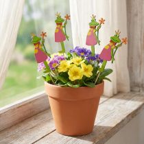 Prodotto Spina fiore spina decorativa principe ranocchio in legno 8 cm 12 pz