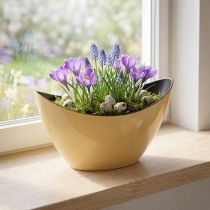 Prodotto Vaso decorativo Plant Boat giallo primaverile 20x9x12 cm