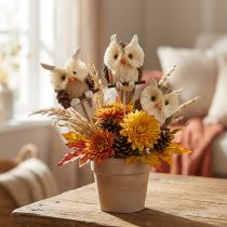Prodotto Spine decorative per fiori gufo decorazione autunnale naturale Ø4cm H8cm 4 pezzi