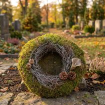 Prodotto Ghirlanda di muschio, ghirlanda decorativa, muschio verde con muschio a orecchie di topo, naturale, Ø30cm