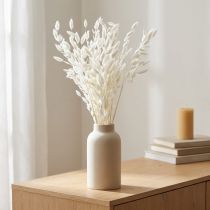 Prodotto Avena dei boschi Chasmantium secco Bianco 70cm 10pz