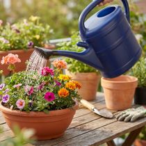 Prodotto Annaffiatoio da 10 litri, annaffiatoio da giardino con rosa, annaffiatoio da giardino blu