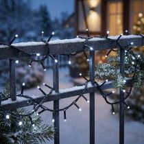 Prodotto Catena luminosa a LED per riso 40s 3m per esterno bianco freddo