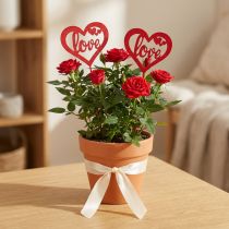 Prodotto Spina decorativa in legno cuore rosso fiore spina Love 7cm 12pz