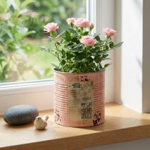 Prodotto Vaso da fiori decorativo in metallo color salmone, Ø15,5 cm, H15 cm