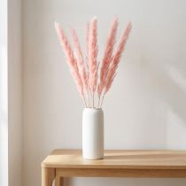 Prodotto Decorazione erba di pampa, erba di pampa essiccata rosa 72 cm 6 pz