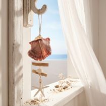 Prodotto Appendiabiti decorativo marittimo conchiglia stella marina Ø10–12 cm 40 cm
