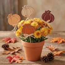 Prodotto Paletti di legno a forma di zucca per fiori, finitura arancione e naturale, 6,5x7 cm, 12 pezzi