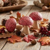 Prodotto Funghi in legno funghi decorativi decorazione da tavola autunno rosso naturale 5×6cm 9pz