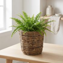 Prodotto Cestino per piante con design a forma di vite, decorativo per vasi di fiori e decorazioni da tavola.